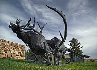 "Royal Challenge" by T.D. Kelsey. Outdoor sculpture at the Center of the West. 14.12.8
