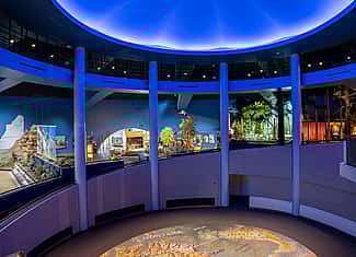 Draper Natural History Museum showing incline of ramp.