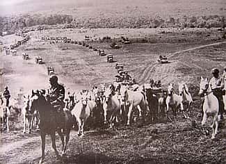 Operation Cowboy