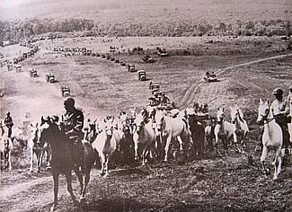 Operation Cowboy