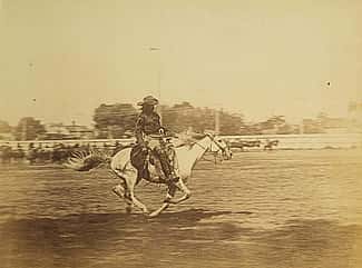 Cody liked riding at full speed. In this undated photo, he races his horse in an arena. MS 71 Vincent Mercaldo Collection, McCracken Research Library. P.71.40.1