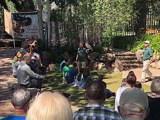 Raptor Experience