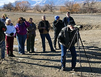 A winter wildlife trip