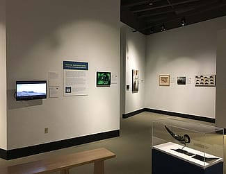 Native Nations Now exhibition