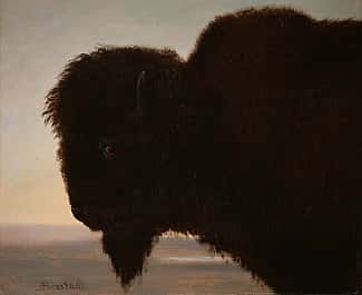 Albert Bierstadt (1830–1902). A Bull Buffalo, 1879. Oil on paper, 13.25 x 15.25 inches. Gift of Carman H. Messmore. 1.62