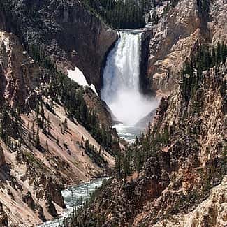 Lower Falls of the Yellowstone. Nancy McClure photo.