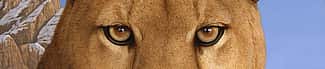 Tom Palmore's "Where Elegance Meets Fear." Gift of Edward R. Bazinet Foundation. 22.96 (detail)
