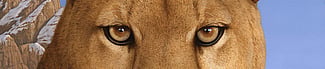 Tom Palmore's "Where Elegance Meets Fear." Gift of Edward R. Bazinet Foundation. 22.96 (detail)