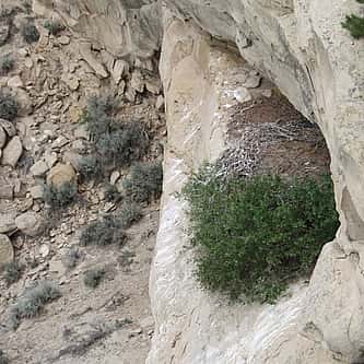 Why These Objects? A Closer Look at the Buffalo Nation Spotlights