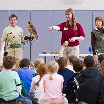 Buffalo Brief: Prepping Wildlife Skeletons for Display