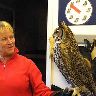 Buffalo Brief: Prepping Wildlife Skeletons for Display