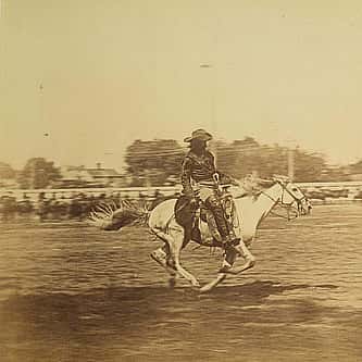 The TE Ranch in American Memory