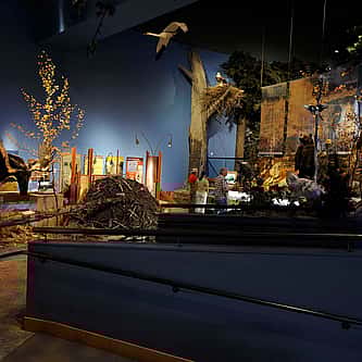 Treasures from Our West: Wild Bill Hickok Revolver