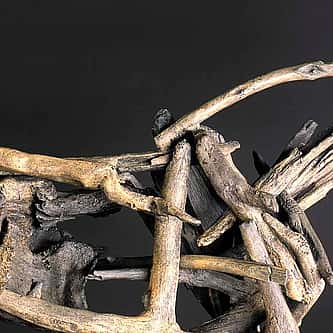 Buffalo Bill’s Greatest Prop: The Storied Ride of the Deadwood Coach