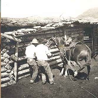 Pommel & Pistol: A brief history of handguns on horseback – Points West Online