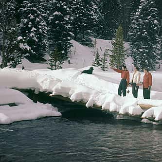 The Great Hunt of Grand Duke Alexei and Buffalo Bill Cody