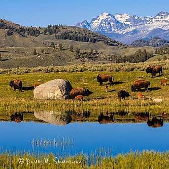 Buffalo Bill Center of the West Remembers Former Vice President and Emeritus Trustee Dick Cheney