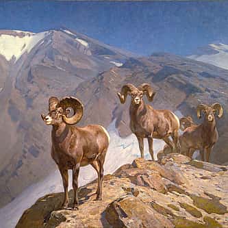 A Fleeting Season: Indian Summer in History and Art