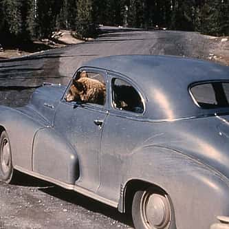The Harry Yount Enigma: Yellowstone’s First Park Ranger