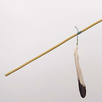 The Native American Graves Protection and Repatriation Act: What Was at Stake?