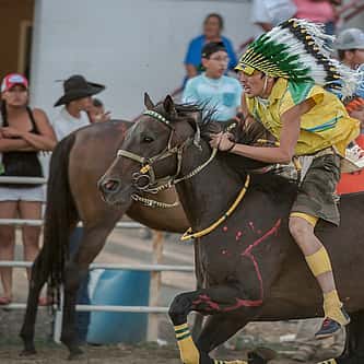 The Spiritual and Cultural Legacy of Horses in Native American History