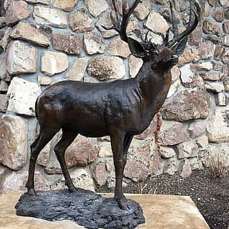 The TE Ranch in American Memory
