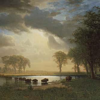 A Fleeting Season: Indian Summer in History and Art