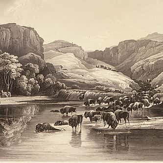Museum Minute: A Seafaring Book Served as a Reference for the Gold Rush-bound