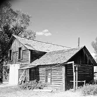 Buffalo Bill and The Fight to Save Yellowstone’s Wildlife – Points West Online