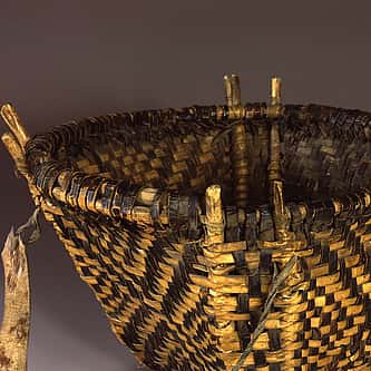 The Spiritual and Cultural Legacy of Horses in Native American History