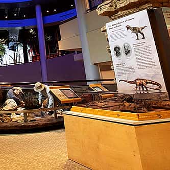 Practicing Safe Leks: A Guide to the Greater Sage-Grouse