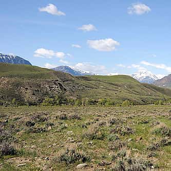 The Harry Yount Enigma: Yellowstone’s First Park Ranger