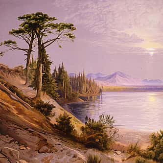 Why These Objects? A Closer Look at the Buffalo Nation Spotlights