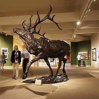 Museum Minute: The Illustrator for “The Call of the Wild” Showed Empathy for Animals