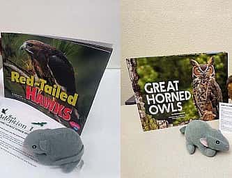 Museum Minute: The Illustrator for “The Call of the Wild” Showed Empathy for Animals
