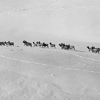 Discover the Legacy of the Taos Society of Artists