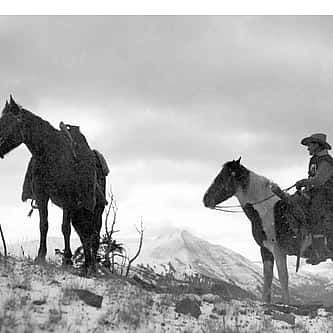 Museum Minute: The Illustrator for “The Call of the Wild” Showed Empathy for Animals