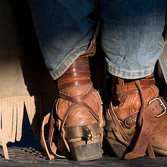 Why are Red-Tailed Hawks So Common?