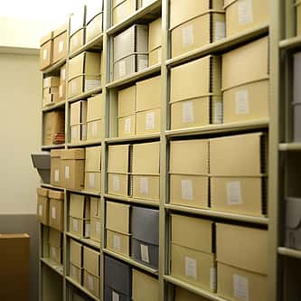 Why are Red-Tailed Hawks So Common?