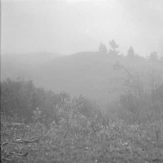 Discover the Legacy of the Taos Society of Artists