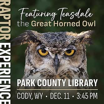 The Bison Effect: How Bison Help Their Neighbors