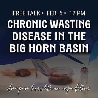 Why These Objects? A Closer Look at the Buffalo Nation Spotlights