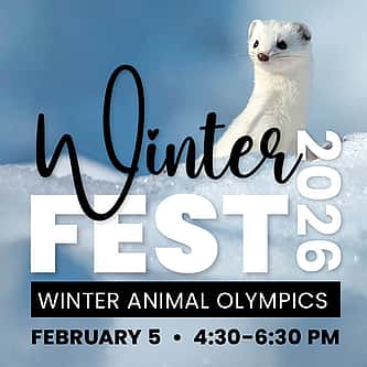 The Cowboy Painter from Hoboken