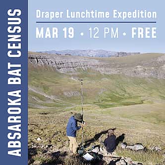 The Birth of the American Long Rifle