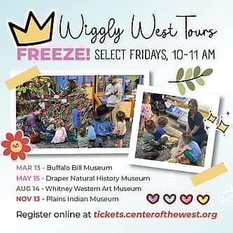 Why These Objects? A Closer Look at the Buffalo Nation Spotlights