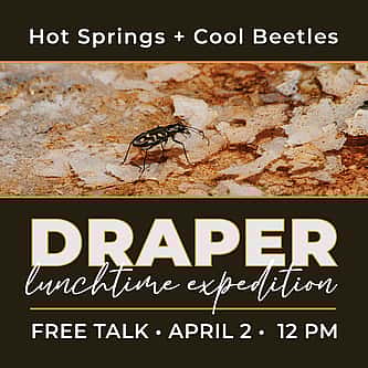 Research Made Easy: Exploring the McCracken Research Library’s Collections