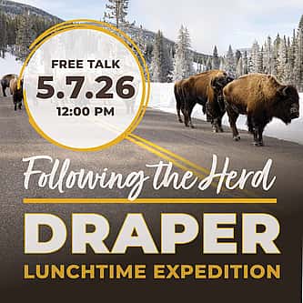 Research Made Easy: Exploring the McCracken Research Library’s Collections