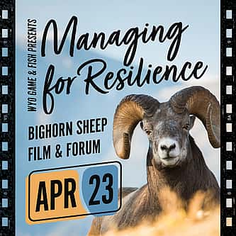 Research Made Easy: Exploring the McCracken Research Library’s Collections