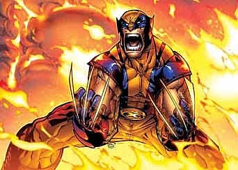"Wolverine" character from the X-Men series.
