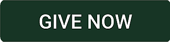 Give Now